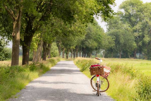Radfahrer auf Tour